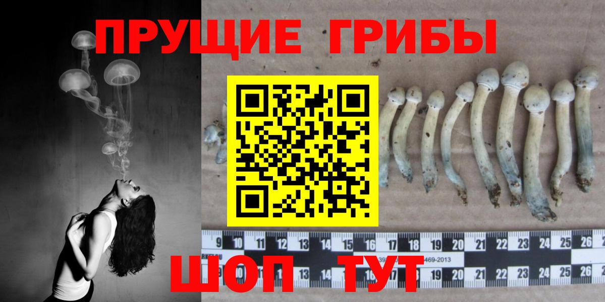 Апатиты  Галлюциногенные грибы прущие грибы  наркотики  Вход с VPN 